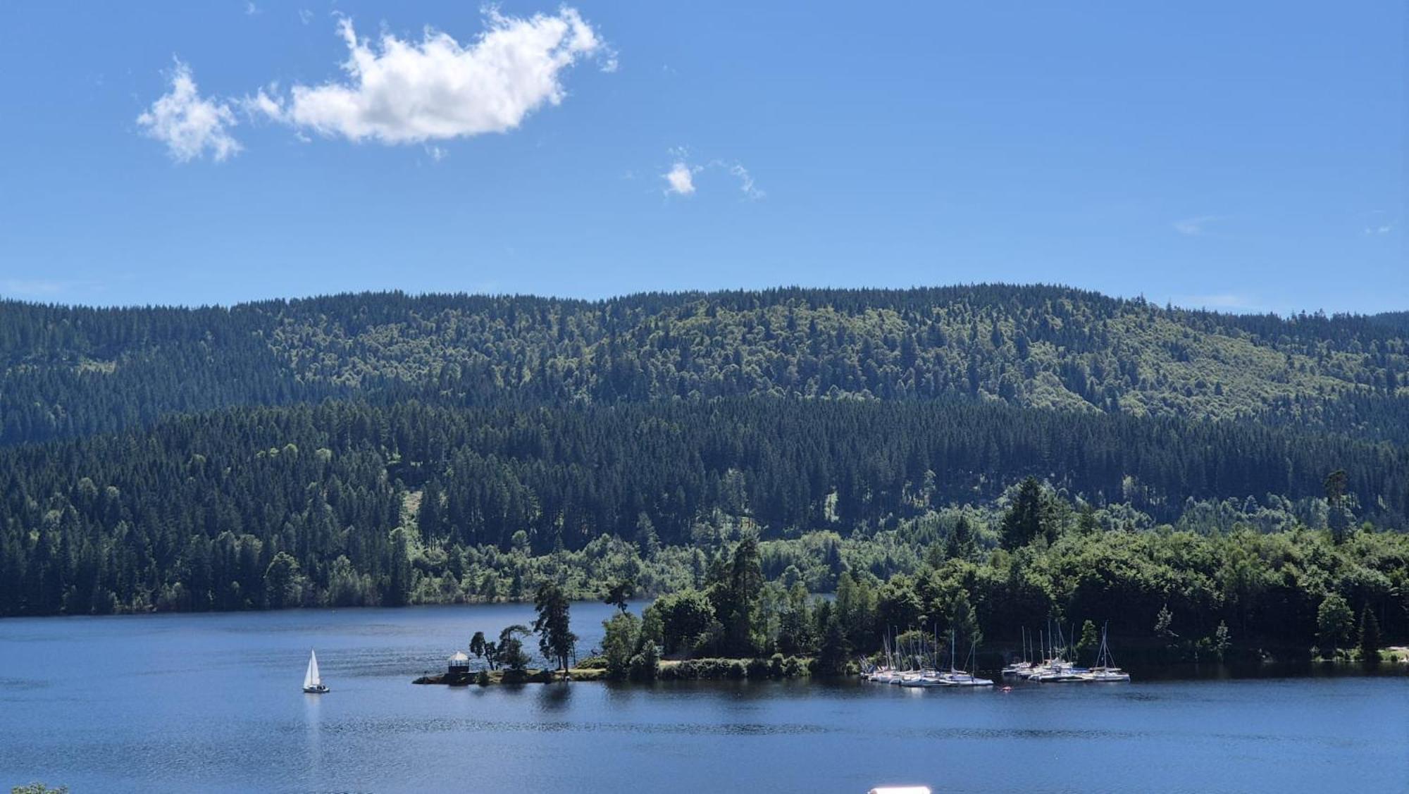 Chalet Schluchsee Ferienwohnung 외부 사진